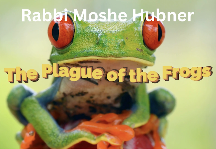 The Frog Code – Rabbi Moshe Hubner